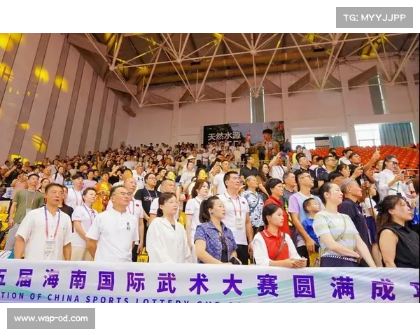 武术精英汇聚海口 展现世界冠军绝技 激荡传统文化魅力